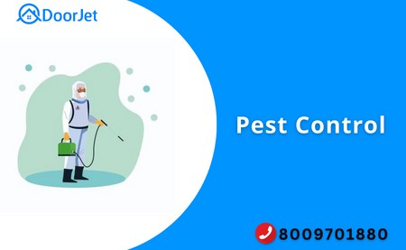 Pest Control